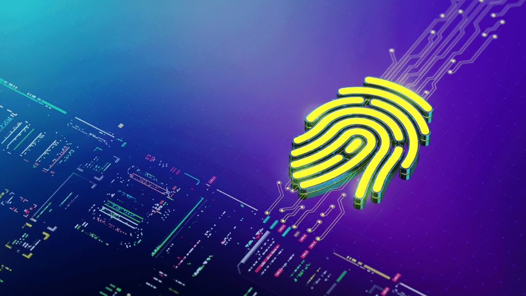 Biometric Identification Methods