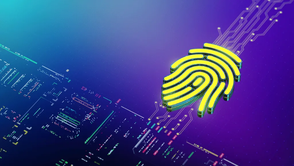 Biometric Identification Methods