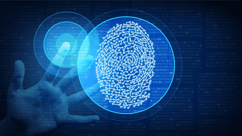 Biometric authentication methods